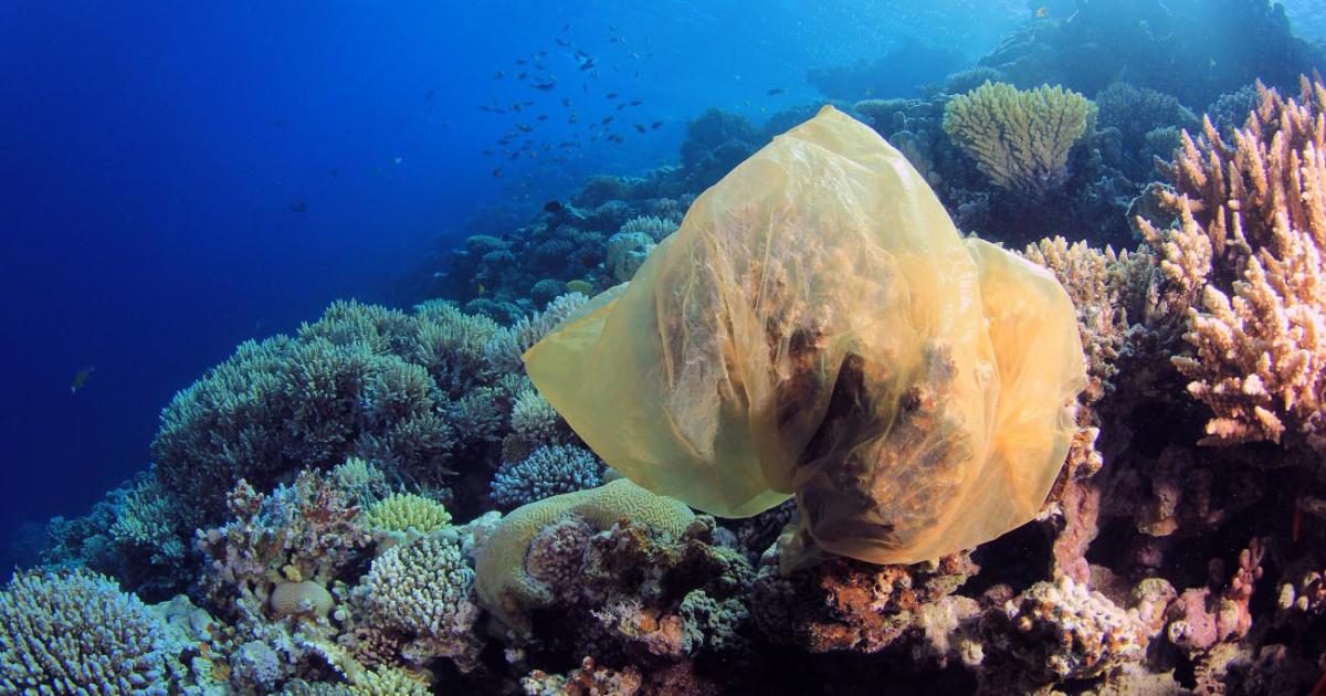 Plastic trash is killing coral reefs. Here’s how we can
